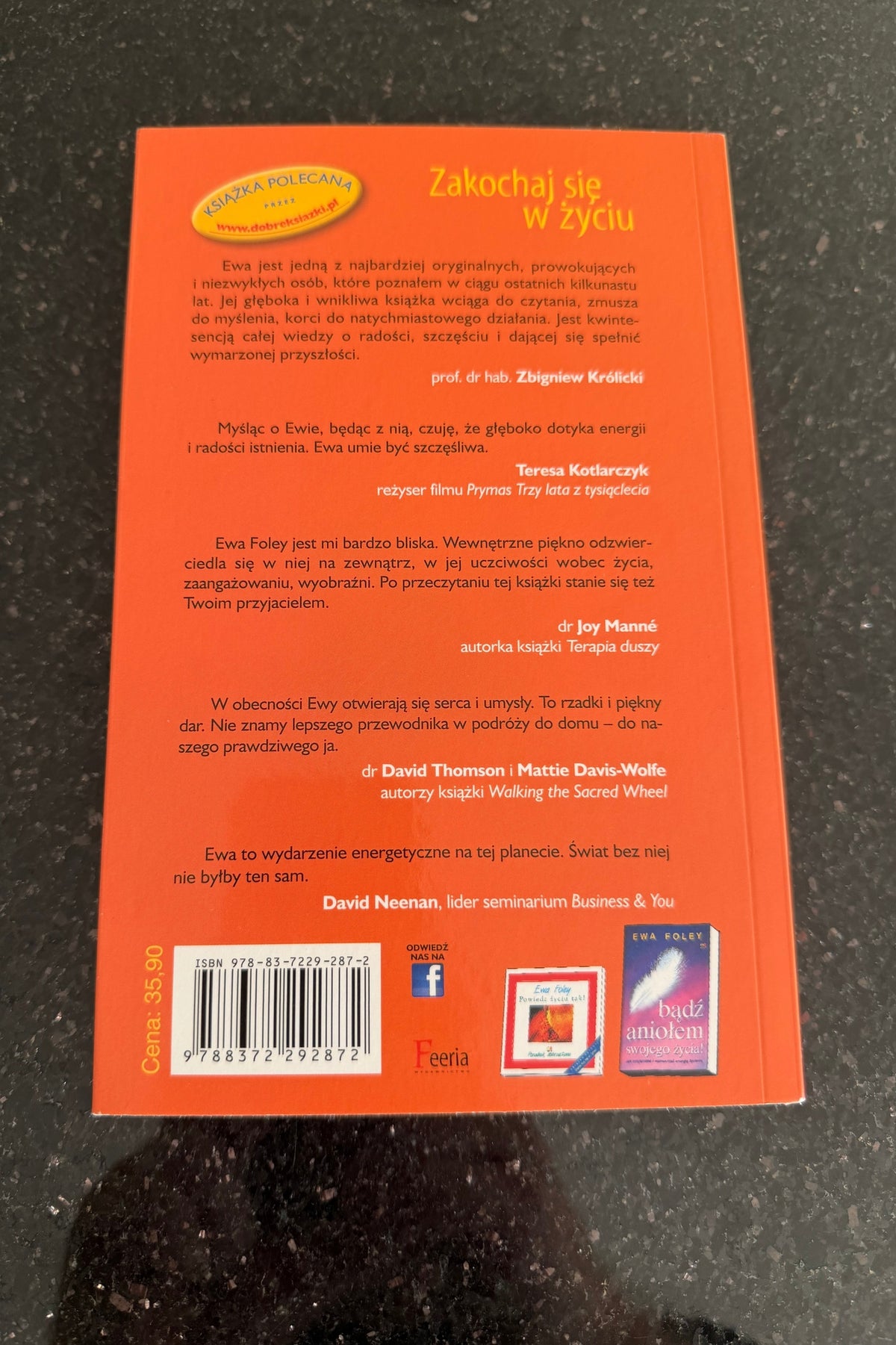 🇵🇱Polish Book - Ewa Foley - Zakochaj sie w życiu zyciu
