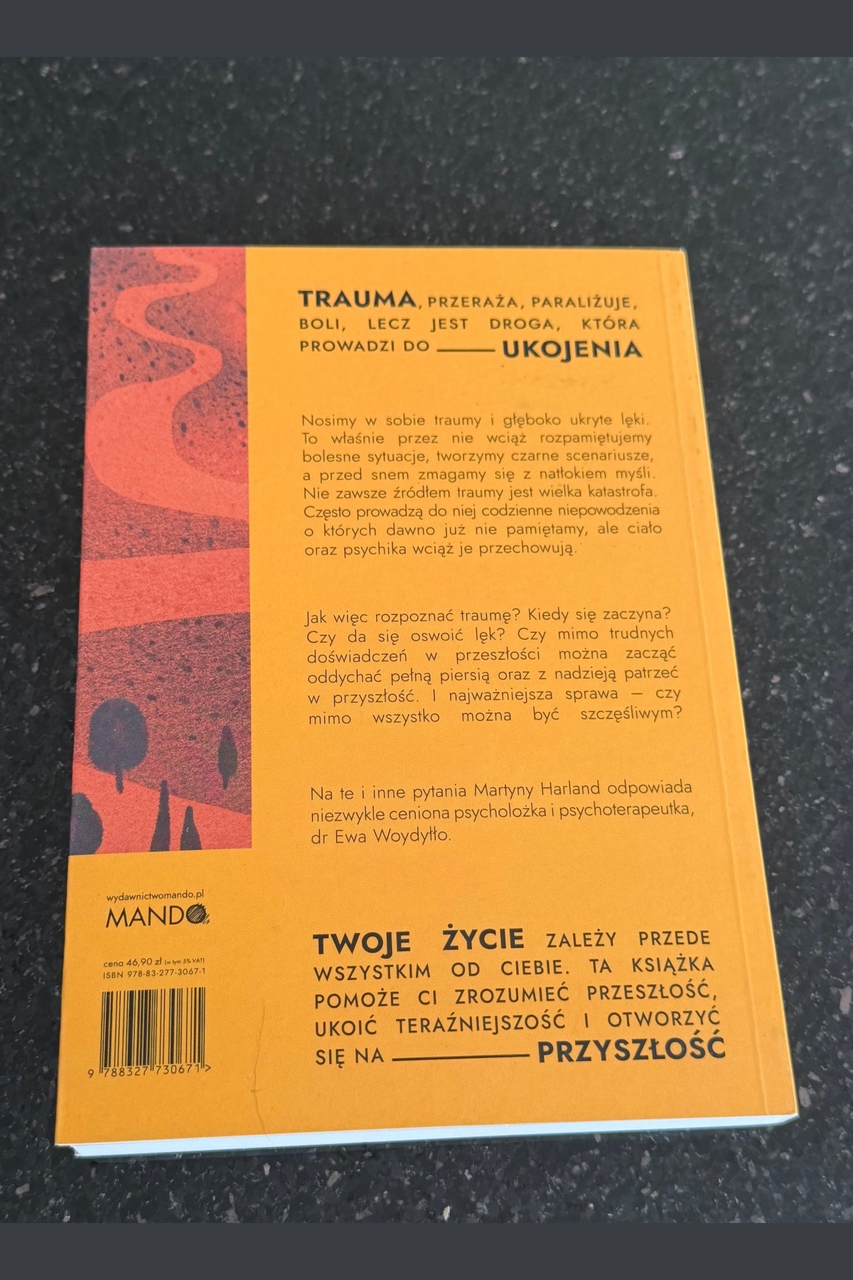 Polish 🇵🇱 Book - Ewa Wodyłło Wodyllo - Ukoić ukoic siebie