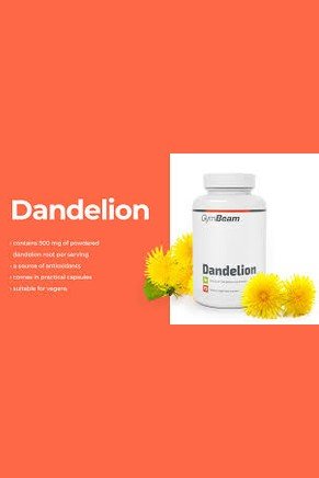 GymBeam Dandelion root powder - 500mg - My Health Oasis