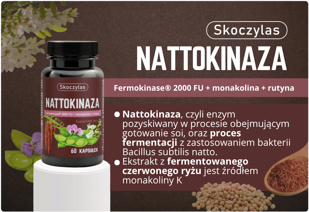 Skoczylas Nattokinaza Fermokinase® 2000 FU + monakolina + rutyna 60 kapsułek – Skoczylas Nattokinase Fermokinase® 2000 FU + Monacolin + Rutin 60 Capsules