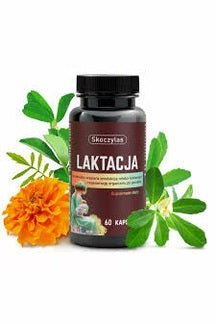 Skoczylas Laktacja - 60 Capsules - My Health Oasis