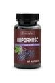 Skoczylas ODPORNOŚĆ czarny bez + rutyna - 60 Capsules - My Health Oasis