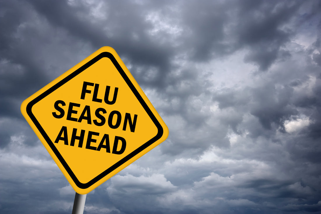 10 Reasons to Take Supplements for Flu Season