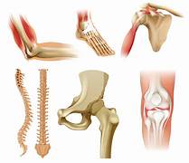 Bones & Joints - My Health Oasis