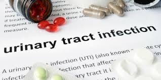 Urinary Tract - My Health Oasis