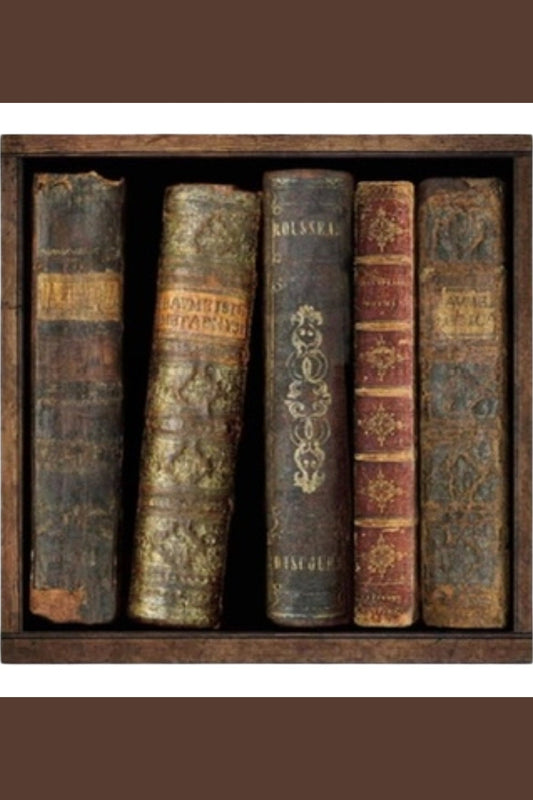 Exclusive Fine Art Set Russel Brennan - In The Library I & II