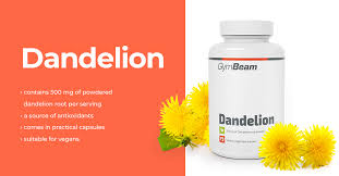 GymBeam Dandelion root powder - 500mg