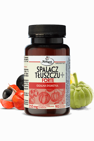 Herbapol Spalacz Tłuszczu+ Forte Idealna Sylwetka 90 kapsułek – Herbapol Fat Burner+ Forte Ideal Figure 90 Capsules