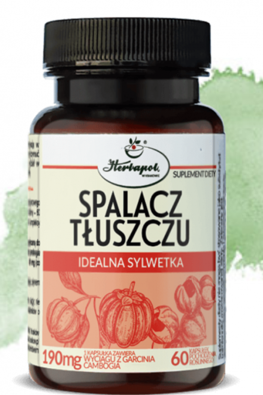 Herbapol Spalacz Tłuszczu+ Forte Idealna Sylwetka 90 kapsułek – Herbapol Fat Burner+ Forte Ideal Figure 90 Capsules