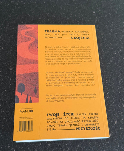 Polish 🇵🇱 Book - Ewa Wodyłło (Wodyllo) - Ukoić (ukoic) siebie