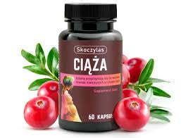 Skoczylas CIĄŹA - 60 Capsules