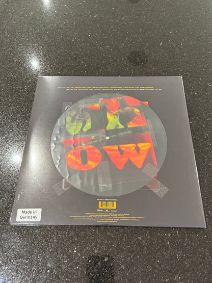 The Cure - Show RSD Vinyl 2023 Picture Disc LP