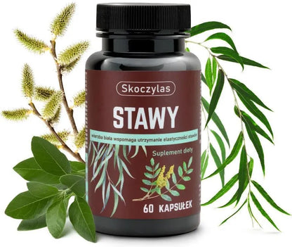 Skoczylas Stawy – Joint Support Capsules with Boswellia, White Willow & Ashwagandha – 60 Capsules
