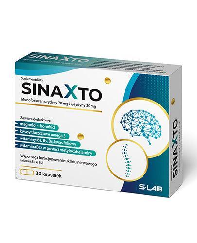 Sinaxto – Uridine, Cytidine & Magnolia Nootropic Brain & Nervous System Support – 30 Capsules