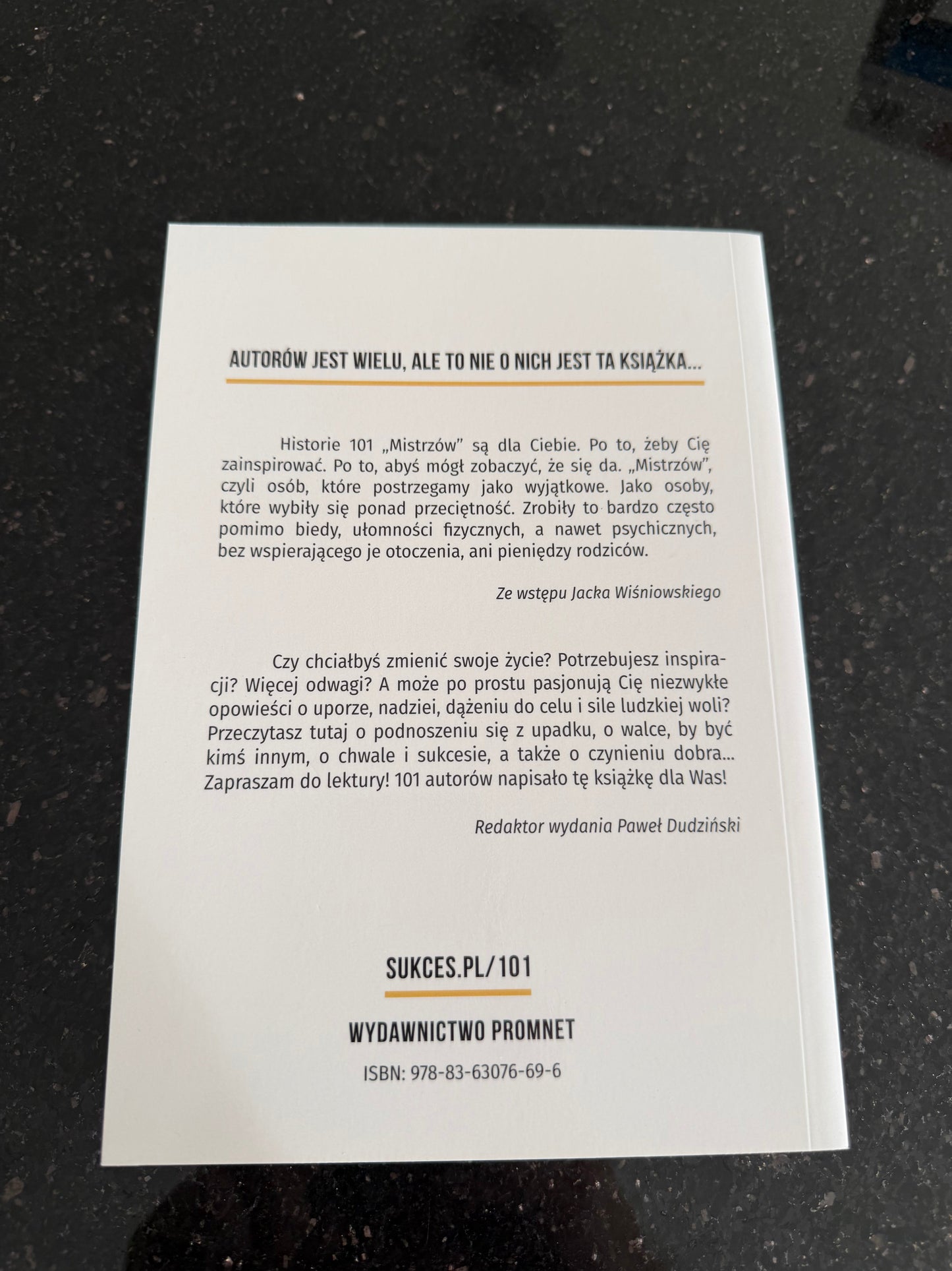🇵🇱Polish Book - Mistrzowie Czyli 101 Insprujacych Historii Ludzi Sukcesu