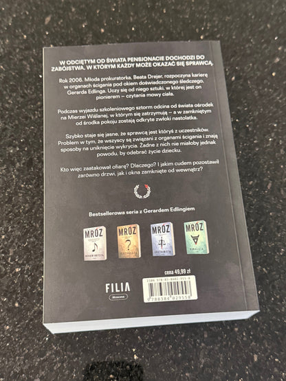 🇵🇱Polish Book - Remigiusz Mróz - Labirynt