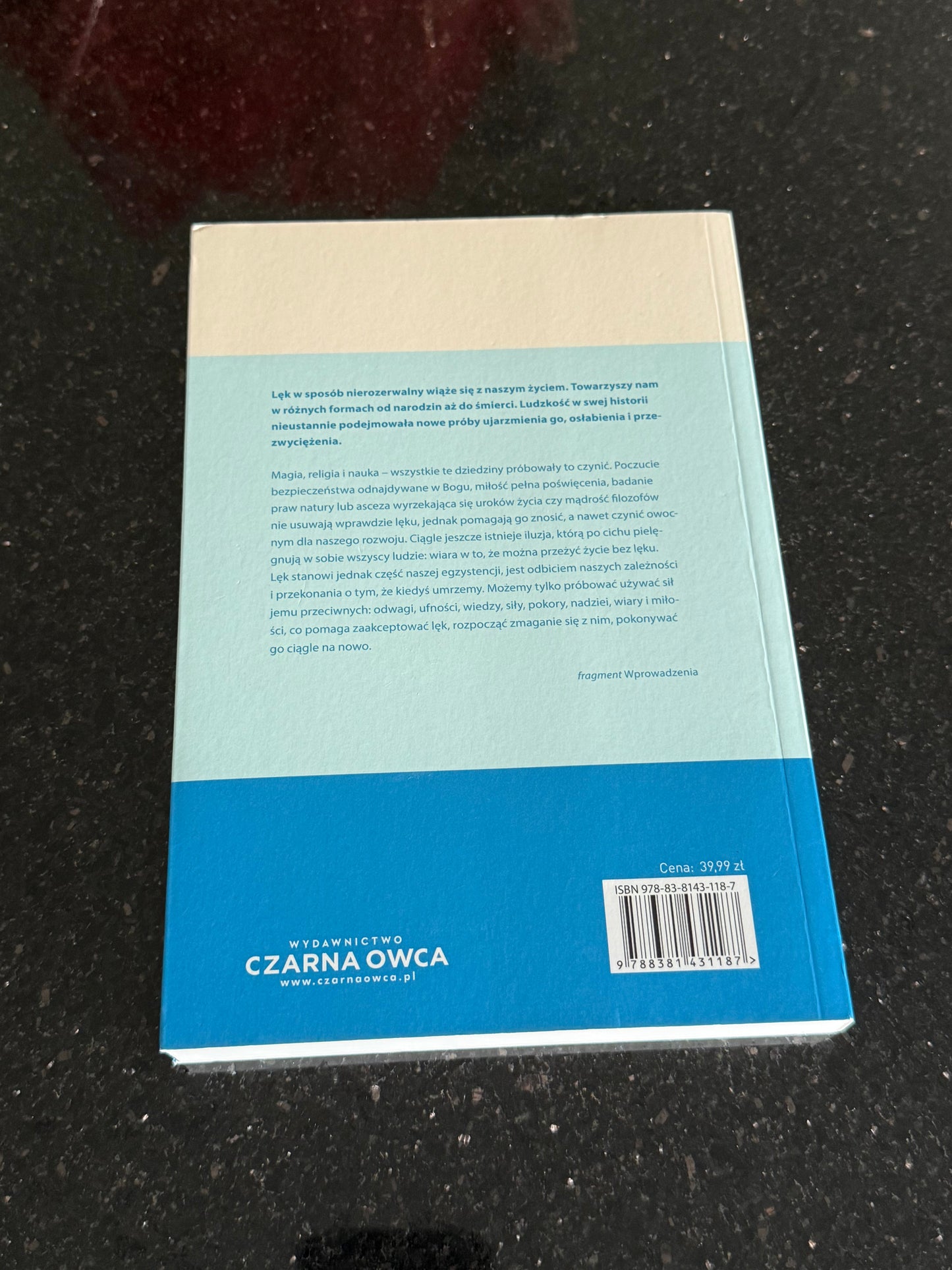 Polish 🇵🇱 Book - Fritz Riemann - Oblicza Lęku (Leku)