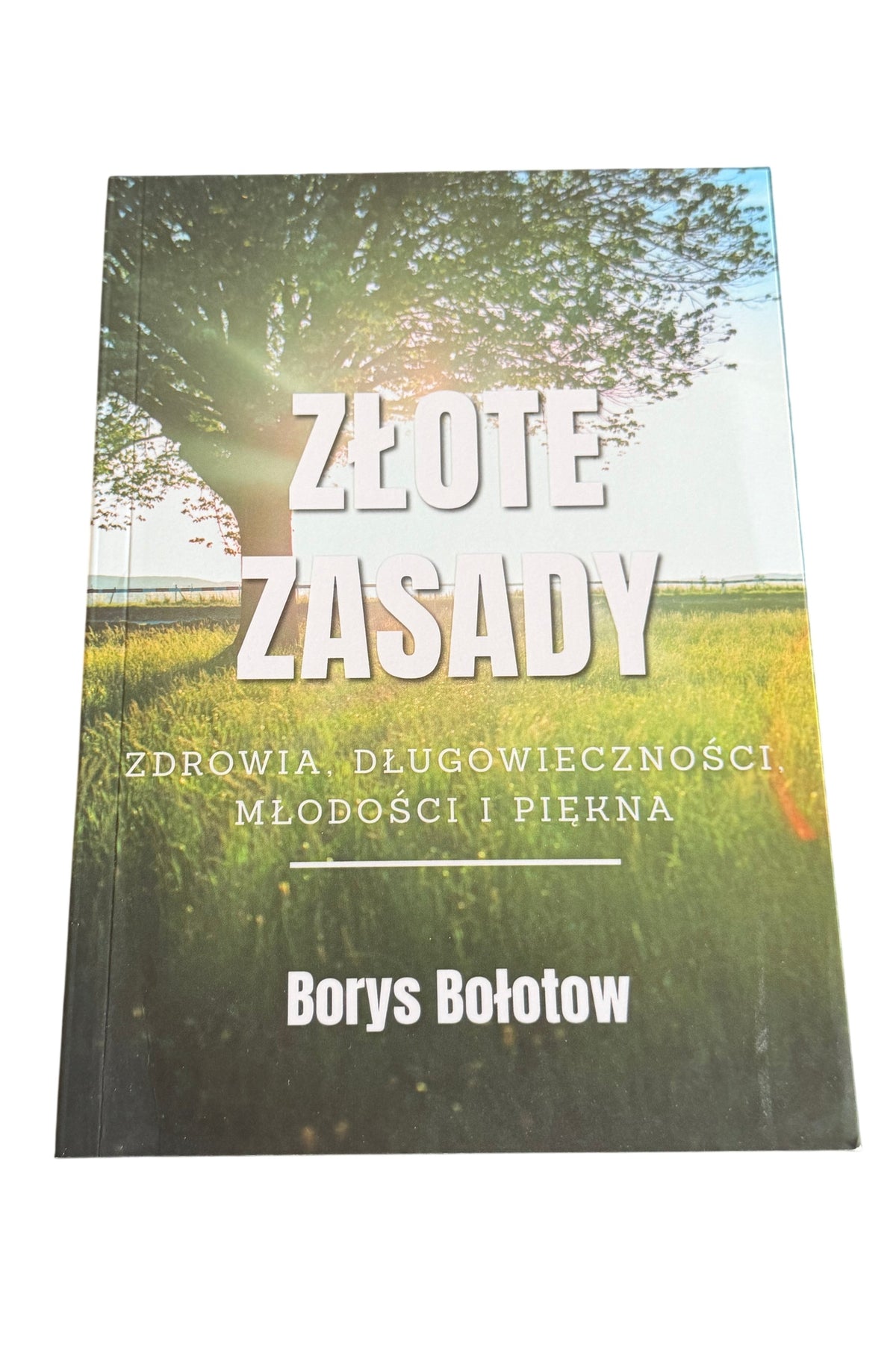 Polish 🇵🇱 Book - Borys Bolotow Bołotow - Zlote Zasady Zdrowia Dlugowiecznosci i piekna - Next Day Delivery