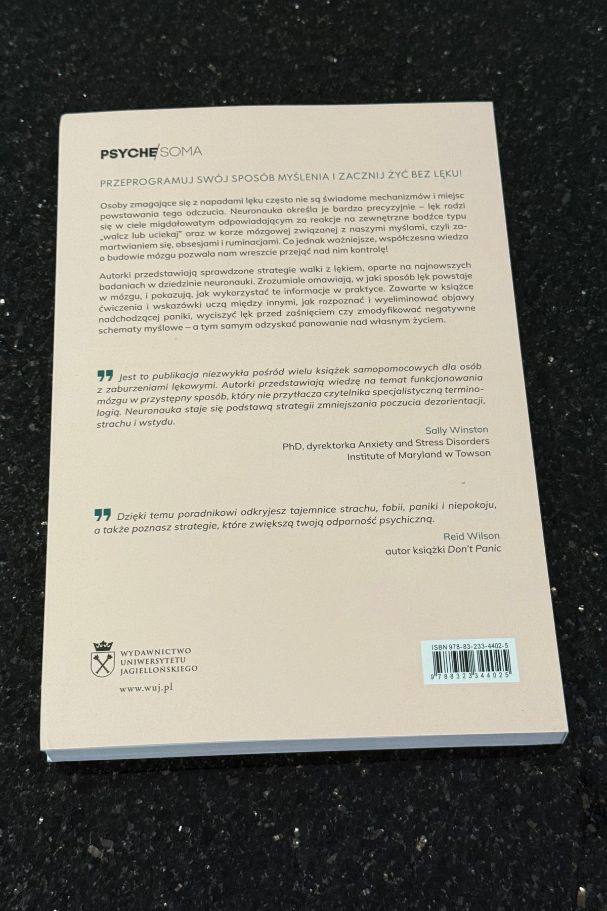 Polish 🇵🇱 Book - Catherine M. Pittman & Elizabeth M. Karle - Zalekniony Zalękniony Mozg Mózg Nerwica Lekowa