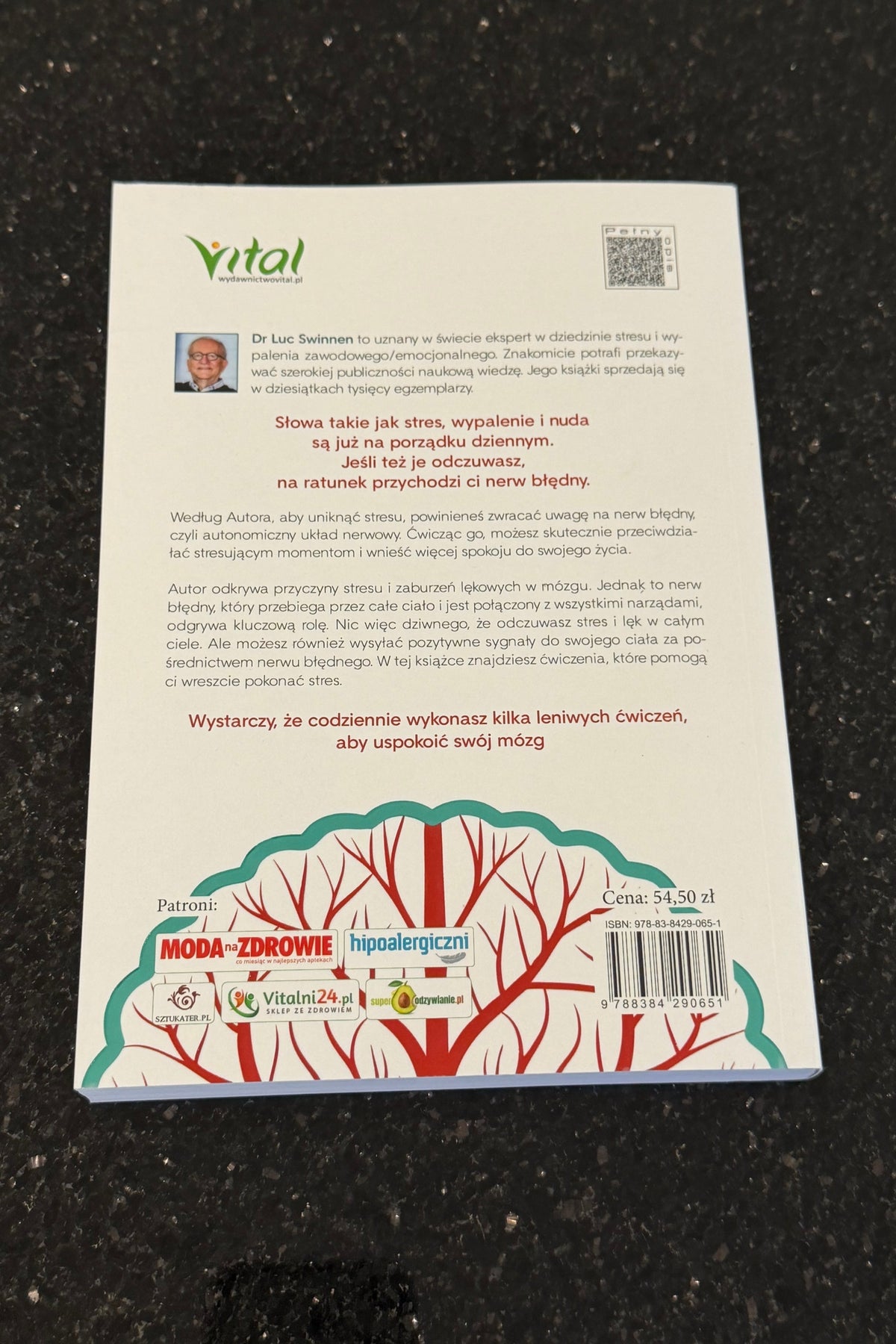 🇵🇱Polish Book - Dr. Luc Swinnen - Nerw Bledny Błędny Ukryty Regulator Stresu