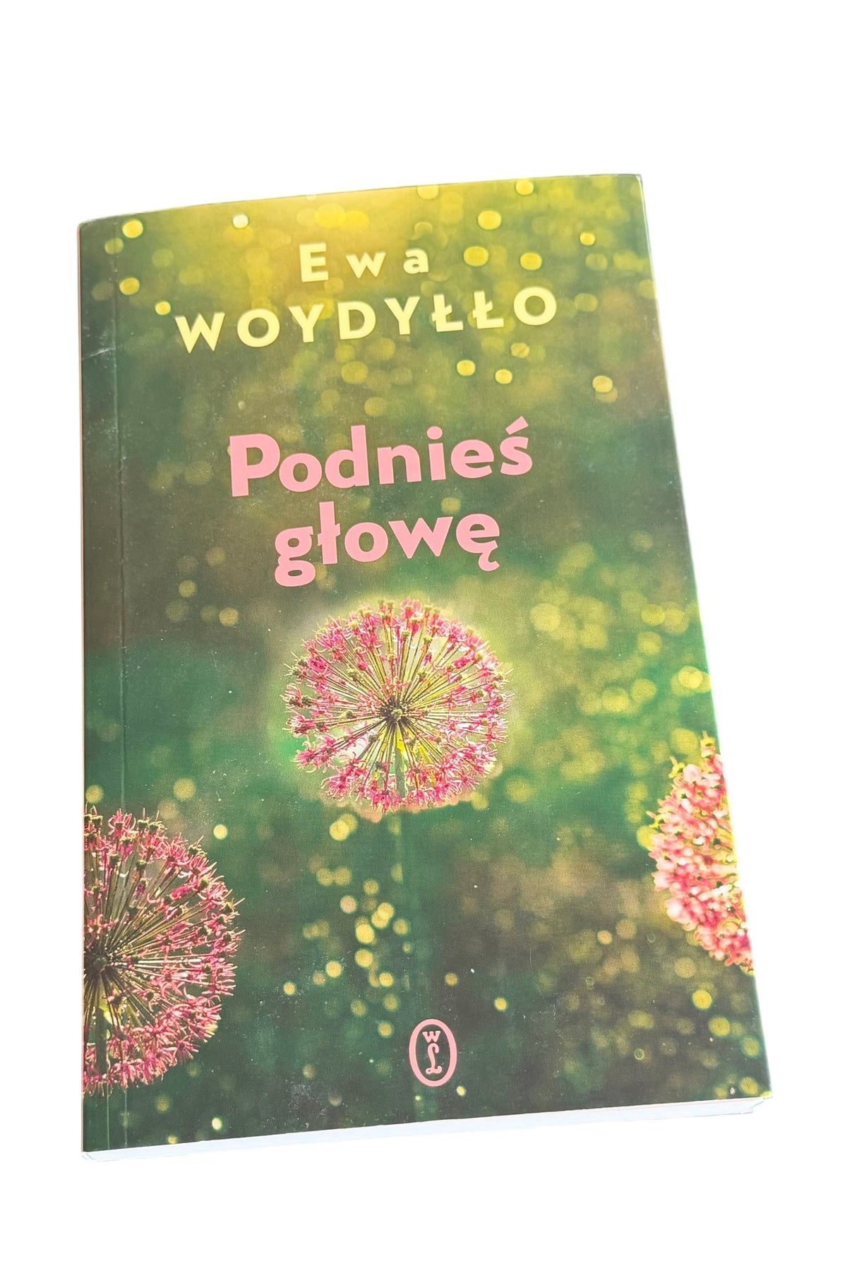 Polish 🇵🇱 Book - Ewa Wodyłło Wodyllo - Podnieś podnies głowę glowe