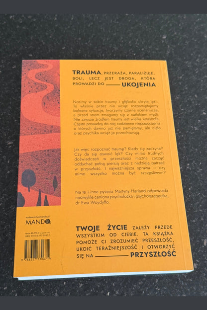 Polish 🇵🇱 Book - Ewa Wodyłło Wodyllo - Ukoić ukoic siebie