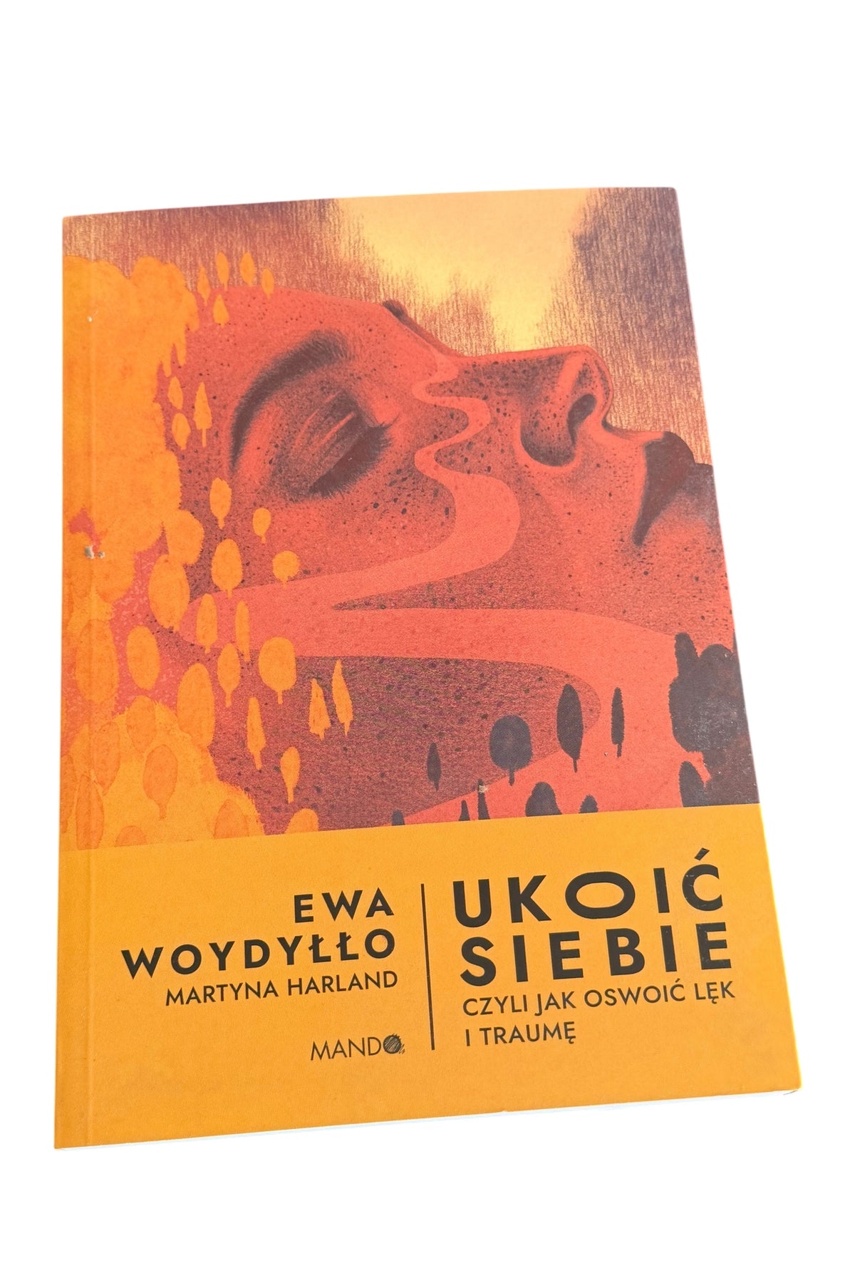 Polish 🇵🇱 Book - Ewa Wodyłło Wodyllo - Ukoić ukoic siebie