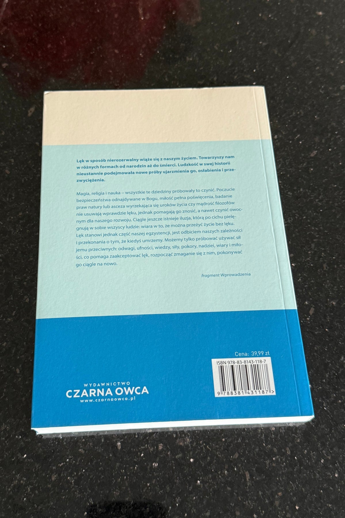 Polish 🇵🇱 Book - Fritz Riemann - Oblicza Lęku Leku