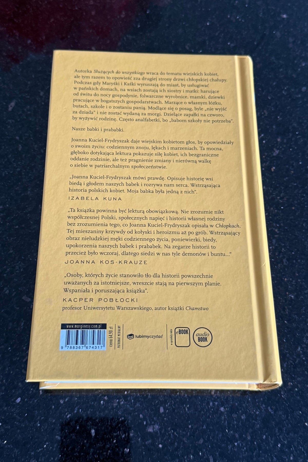 Polish 🇵🇱 Book - Joanna Kuciel-Frydryszak - Chlopaki - Opwiesc o naszych babkach