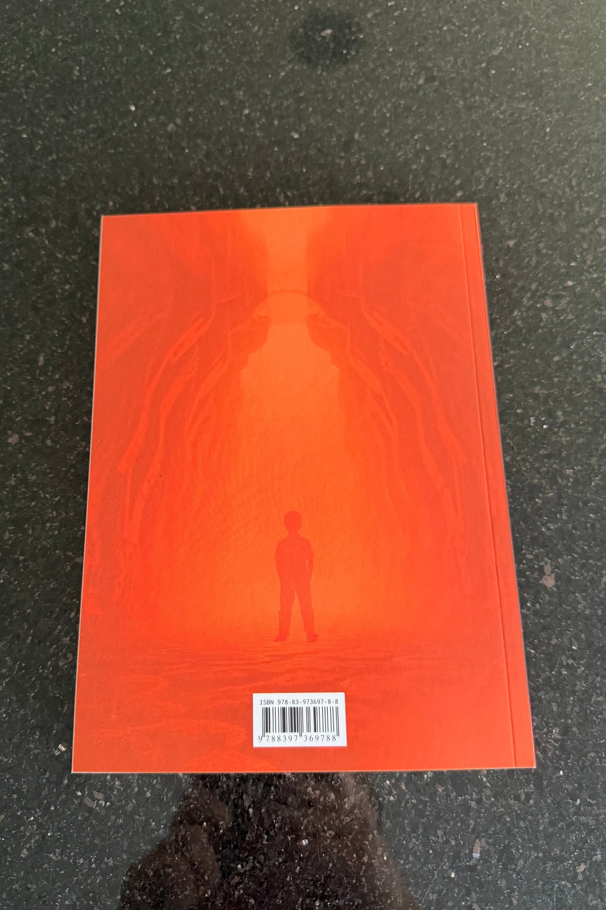 Polish 🇵🇱 Book - Lukasz Łukasz Gotowicz - Rzeczywistosc 2.0. - Jak odnalezc dzieciece marzenia