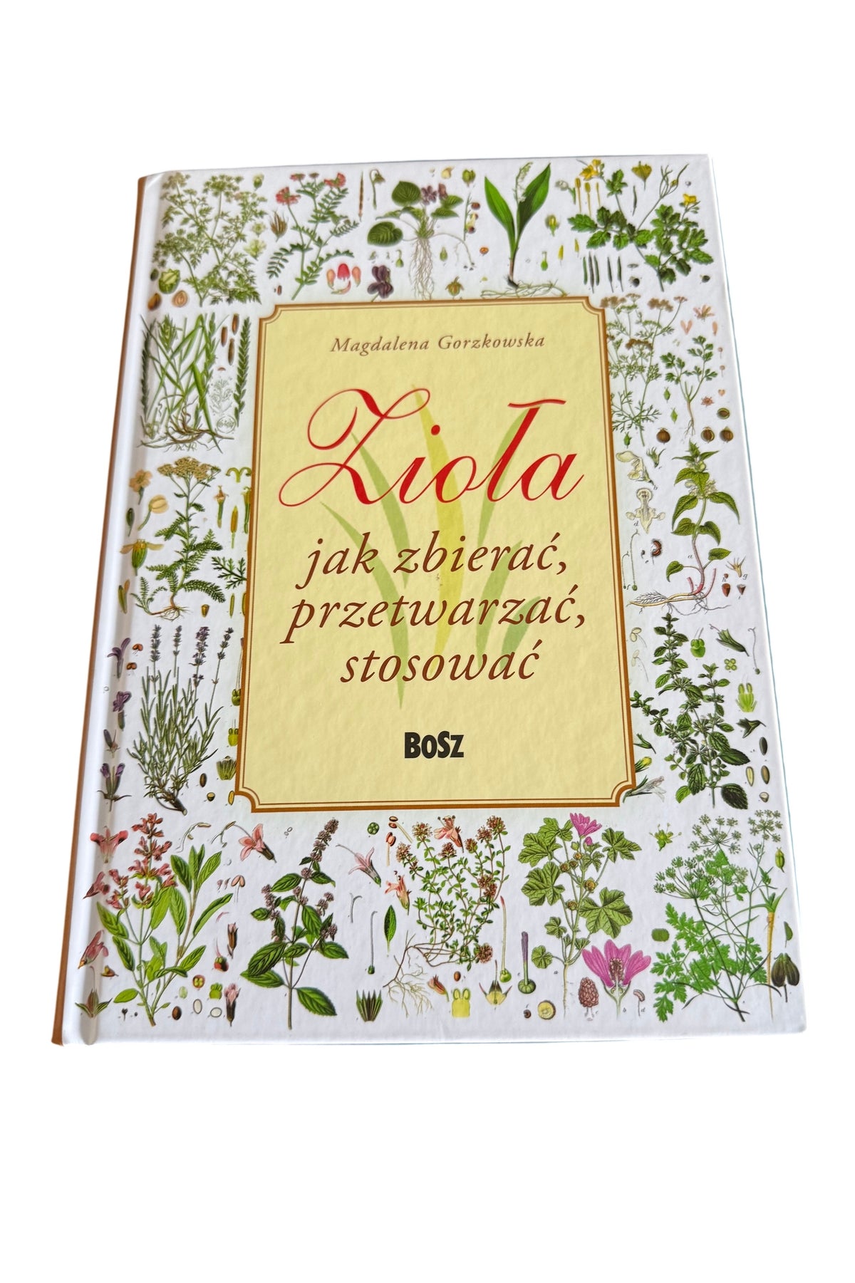 🇵🇱 Polish Book - Magdalena Gorzkowska Zioła Ziola - Jak zbierac przetwarzac stosowac