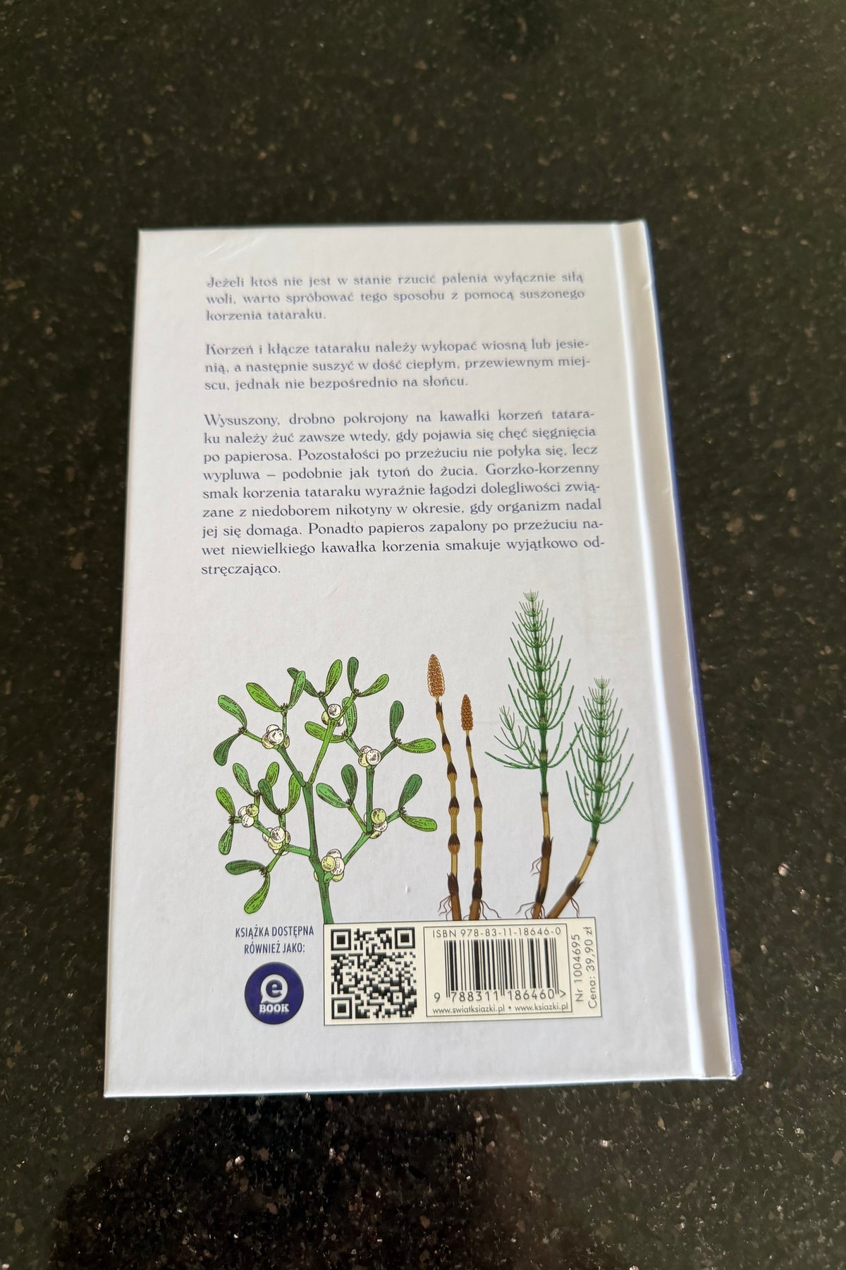 🇵🇱Polish Book - Maria Treben - Choroby Mezczyzn Mężczyzn Ziołolecznictwo