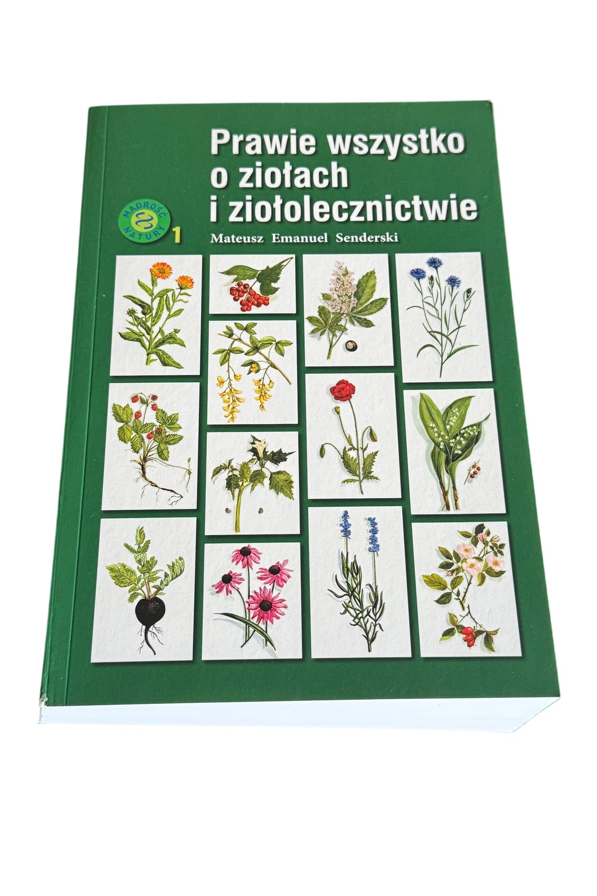 Polish 🇵🇱 Book - Mariusz Emanuel Sanderski - Prawie Wszystko o Ziolach i Ziołolecznictwie