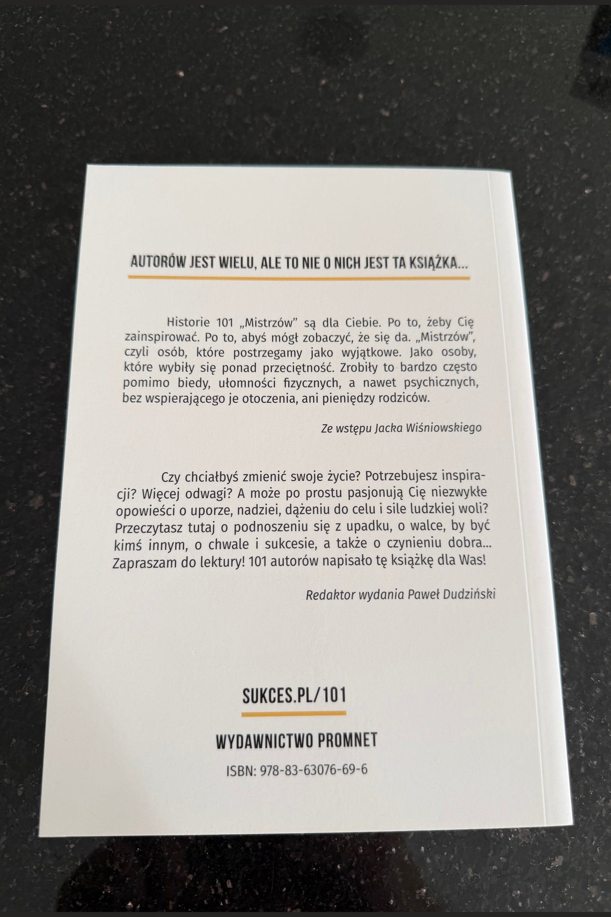 🇵🇱Polish Book - Mistrzowie Czyli 101 Insprujacych Historii Ludzi Sukcesu