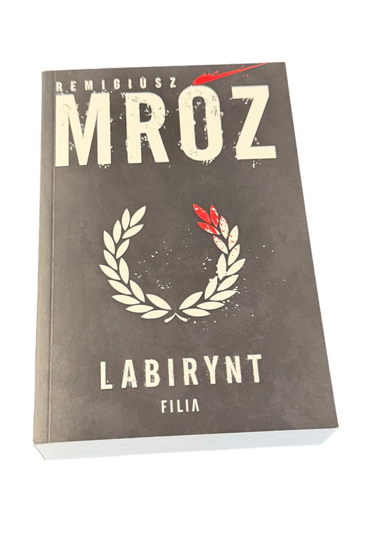 🇵🇱Polish Book - Remigiusz Mróz - Labirynt