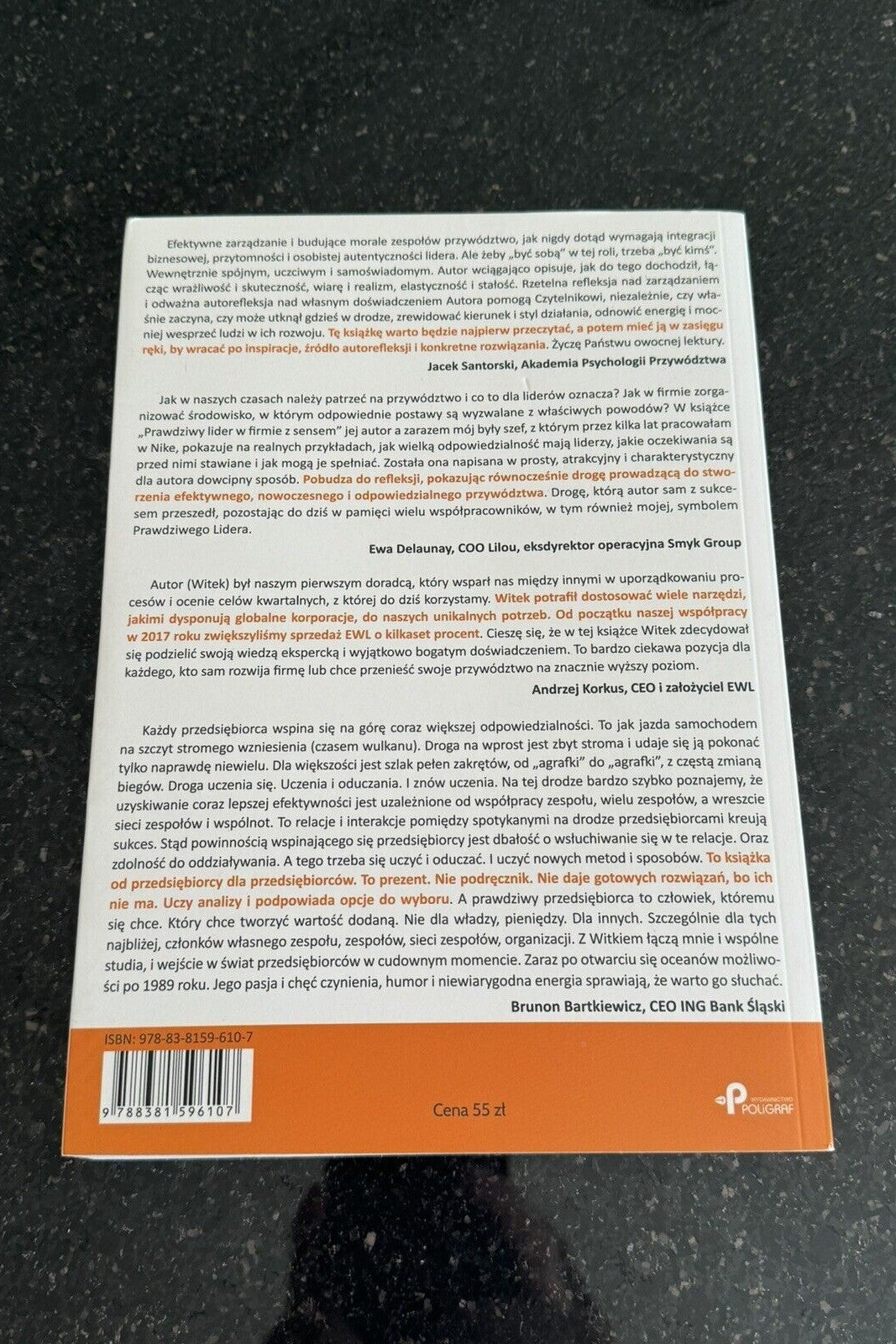Prawdziwy lider w firmie z sensem. Twoja przemiana w przywództwie z pomocą ...