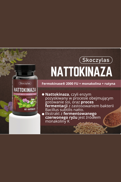Skoczylas Nattokinaza Fermokinase® 2000 FU + monakolina + rutyna 60 kapsułek – Skoczylas Nattokinase Fermokinase® 2000 FU + Monacolin + Rutin 60 Capsules