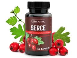 Skoczylas SERCE - 60 Capsules