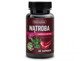 Skoczylas WĄTROBA - 60 Capsules