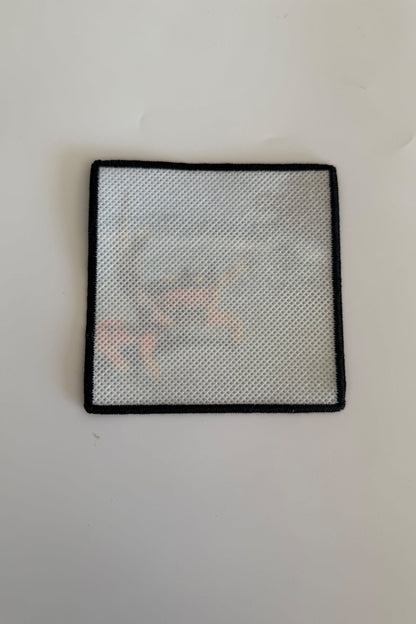 The Prodigy - The Fat of the Land - Album Art Patch