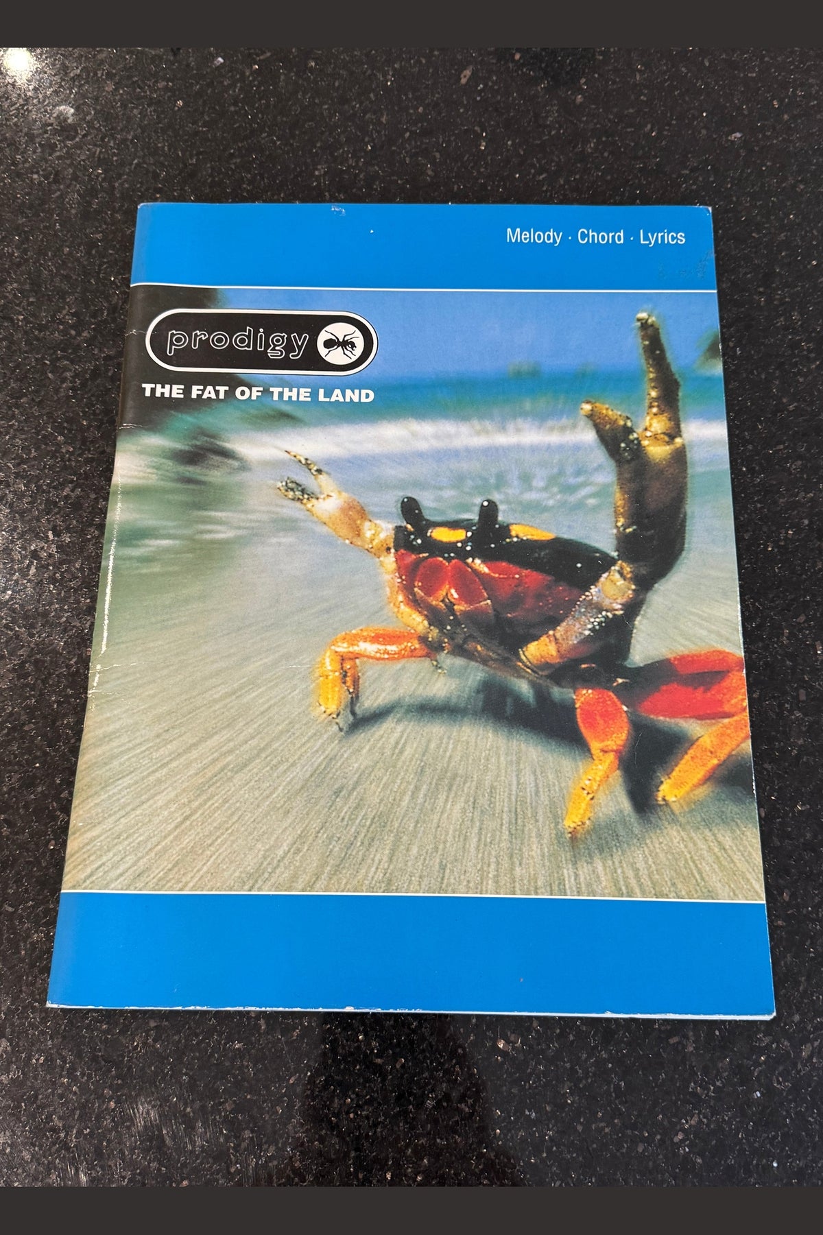 The Prodigy - The Fat of the Land Book - Chords Rare