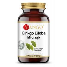 YANGO Ginkgo Biloba Miłorząb - 90 Capsules