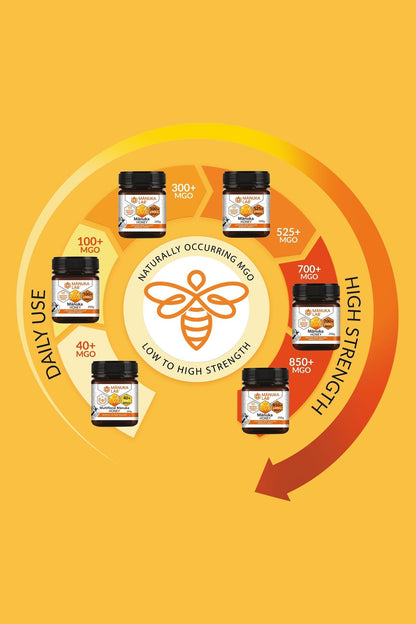 Mānuka Honey 100+ MGO 500G