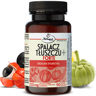 Herbapol Spalacz Tłuszczu+ Forte Idealna Sylwetka 90 kapsułek – Herbapol Fat Burner+ Forte Ideal Figure 90 Capsules