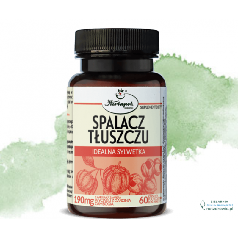 Herbapol Spalacz Tłuszczu+ Forte Idealna Sylwetka 90 kapsułek – Herbapol Fat Burner+ Forte Ideal Figure 90 Capsules