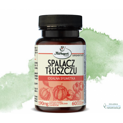 Herbapol Spalacz Tłuszczu+ Forte Idealna Sylwetka 90 kapsułek – Herbapol Fat Burner+ Forte Ideal Figure 90 Capsules