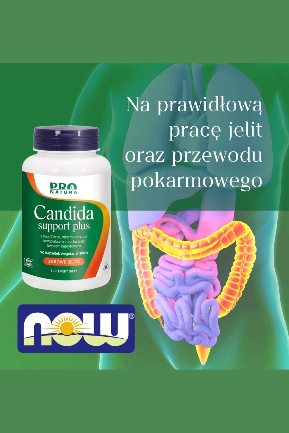 ProNatura Candida Support Plus - 90 Capsules - My Health Oasis