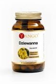 Yango Dziewanna - 90 Capsules - My Health Oasis